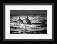 The Mother And The Baby Fine Art Print