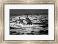 The Mother And The Baby Fine Art Print