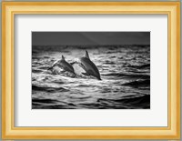 The Mother And The Baby Fine Art Print