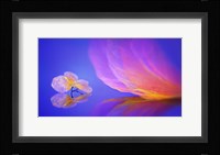 Dream Fine Art Print