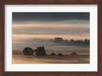 Dense Fog Over The Moos Fine Art Print