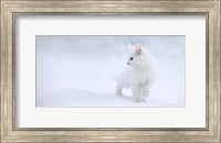 White As Snow Fine Art Print