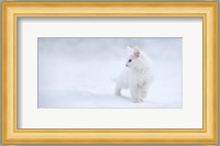 White As Snow Fine Art Print