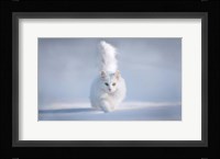 Yellow Eyes Fine Art Print