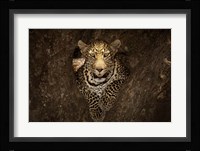 Leopard Resting On A Tree At Masai Mara Fine Art Print