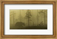 Morning Fog Fine Art Print