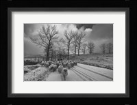 Pastoral Fine Art Print