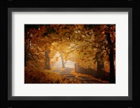 Turn To Fall Fine Art Print