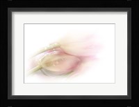 Touching Fine Art Print