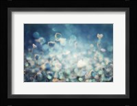 Diamonds Fine Art Print