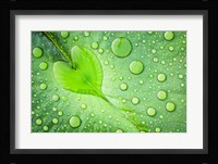 Heart Fine Art Print