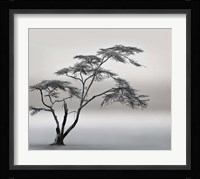 A Very Long Story Fine Art Print