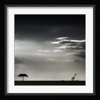 15 Minutes Of Happiness Fine Art Print