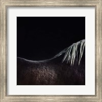 The Naked Horse Fine Art Print