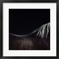 The Naked Horse Fine Art Print
