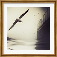 The Tide Fine Art Print