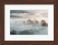 Winter Fog Fine Art Print