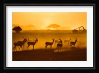 Be Careful Fine Art Print