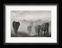 Sequence Of Emotion Fine Art Print