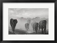 Sequence Of Emotion Fine Art Print