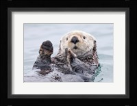 Yesterday I Caught A Fish This Big! - Otter, Alaska Fine Art Print