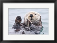 Yesterday I Caught A Fish This Big! - Otter, Alaska Fine Art Print