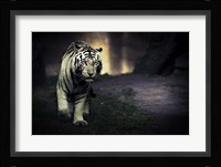 White Walker Fine Art Print