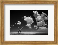 Gone With The Clouds Fine Art Print