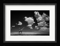 Gone With The Clouds Fine Art Print