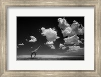 Gone With The Clouds Fine Art Print
