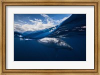 Humpback Whale And The Sky Fine Art Print