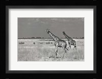 Tourists Spend Fine Art Print