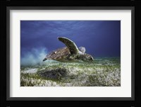 Take Off Fine Art Print