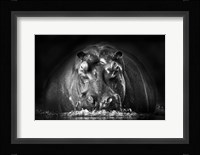 Power Fine Art Print