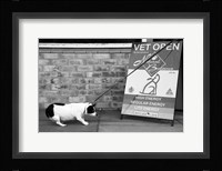 No, No, Definitely NO! Fine Art Print