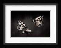 Medioluto Nortea A Fine Art Print