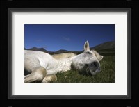 Sleeping Beauty Fine Art Print