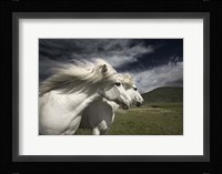 Interplay Fine Art Print