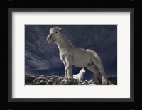 Partners II Fine Art Print