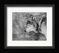 Let It Snow Fine Art Print