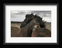 Close Fine Art Print