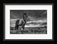 Two Of A Kind Fine Art Print