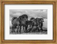 Happy Family Fine Art Print