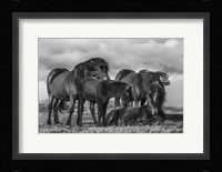 Happy Family Fine Art Print