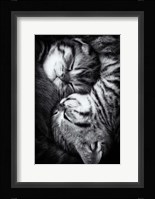 Yin And Yang Fine Art Print