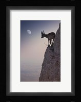 By A Bouquet Of Flowers Fine Art Print