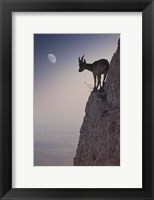 By A Bouquet Of Flowers Fine Art Print