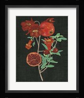 Pomegranate Study I Fine Art Print