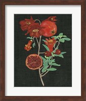 Pomegranate Study I Fine Art Print