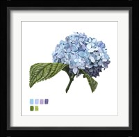 Brighton Blooms I Framed Print